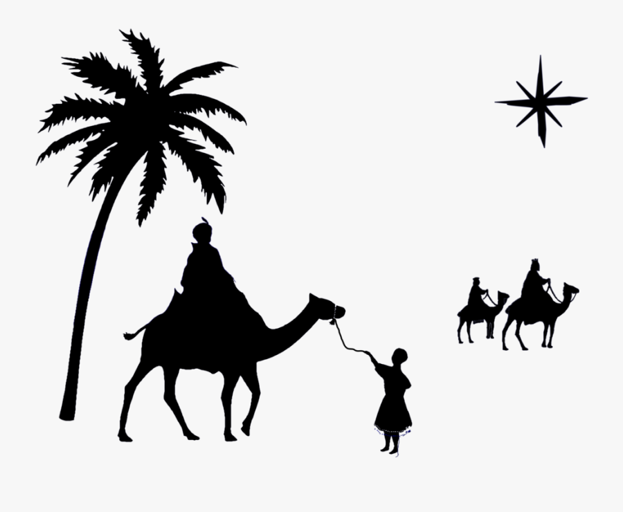 Plant,silhouette,camel - Arabian Camel, Transparent Clipart