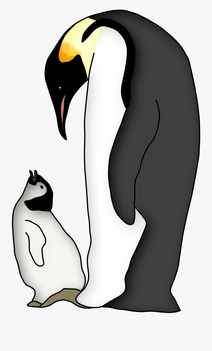Jk Curriculum Connection Png Royalty Free Download - Penguin, Transparent Clipart
