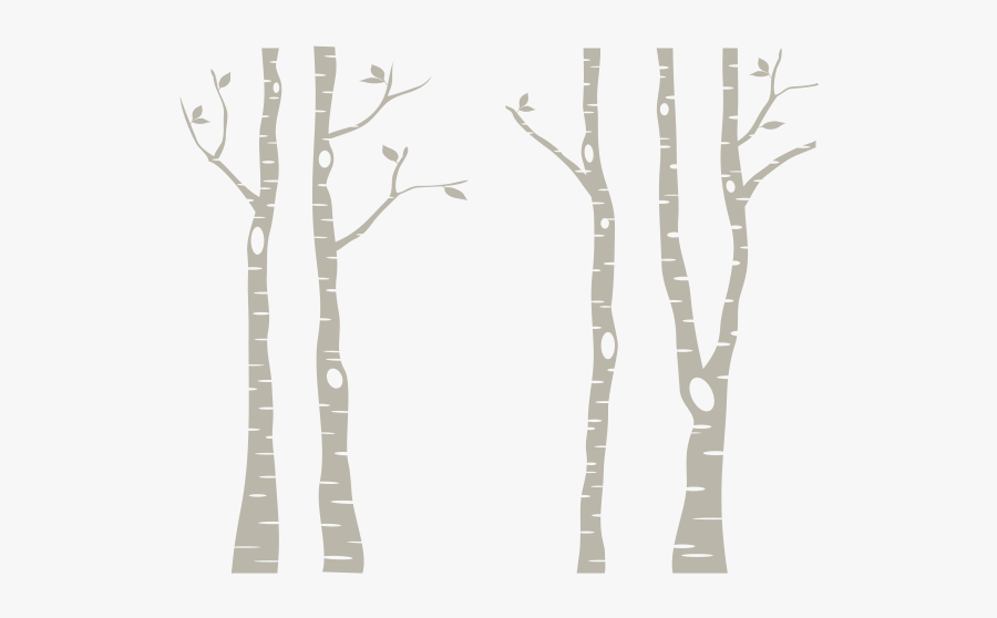 Birch Tree Clipart - White Birch Tree Png, Transparent Clipart
