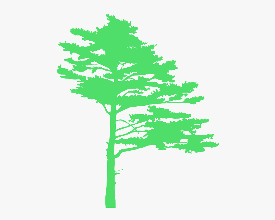 Tree Silhouette Green, Transparent Clipart