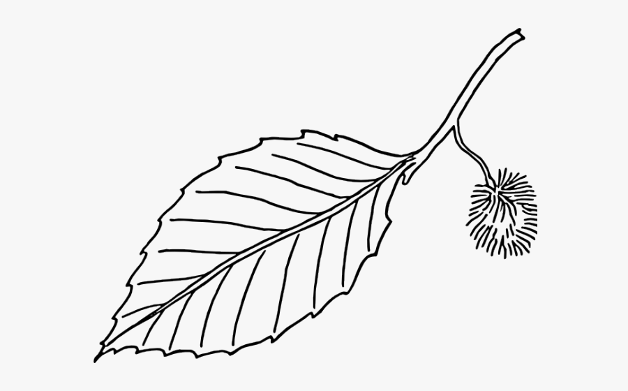 Leaf Clip Art Black And White Png, Transparent Clipart