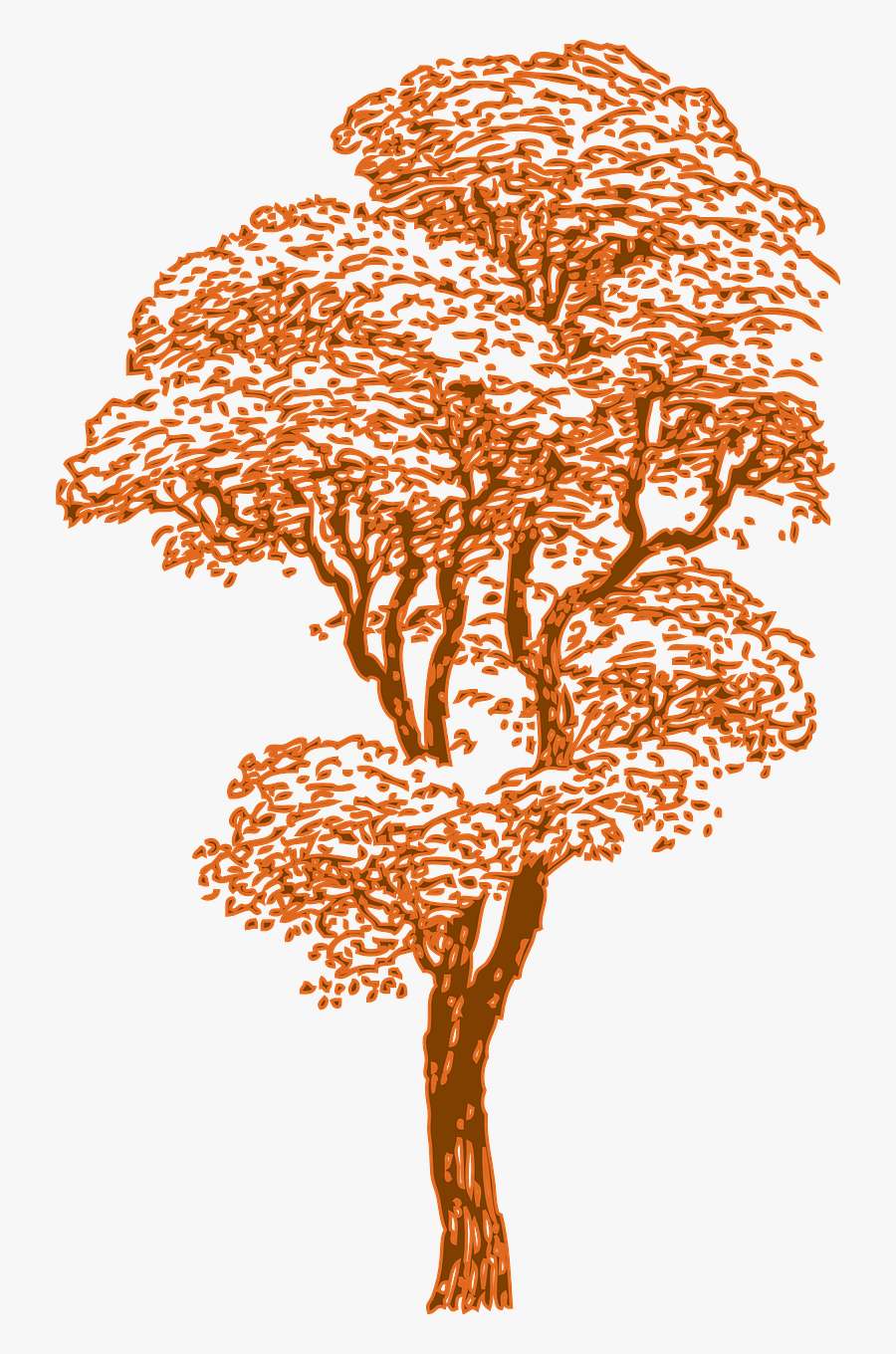 Tall Tree Clipart Black And White, Transparent Clipart