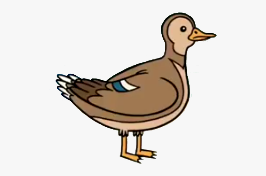 Regular Show Wiki - Duck's Mother, Transparent Clipart