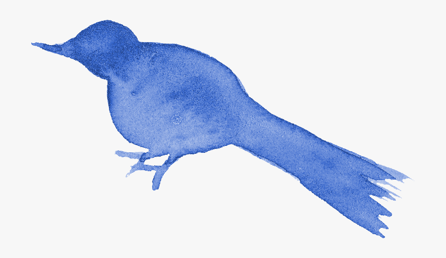 Bird Png Blue - Blue Jay, Transparent Clipart