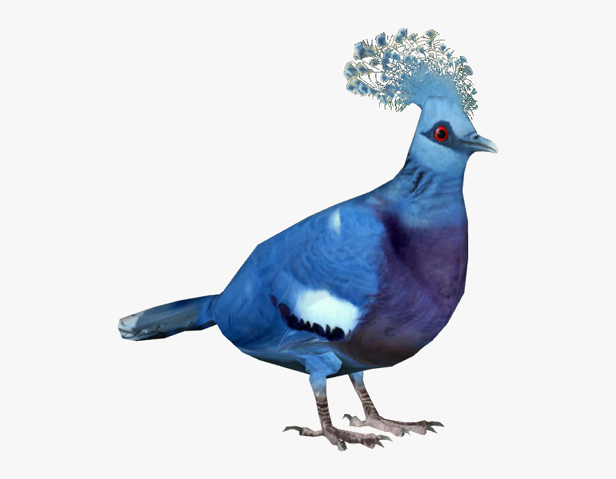 Pigeon Png Transparent Images - Victoria Crowned Pigeon Png, Transparent Clipart