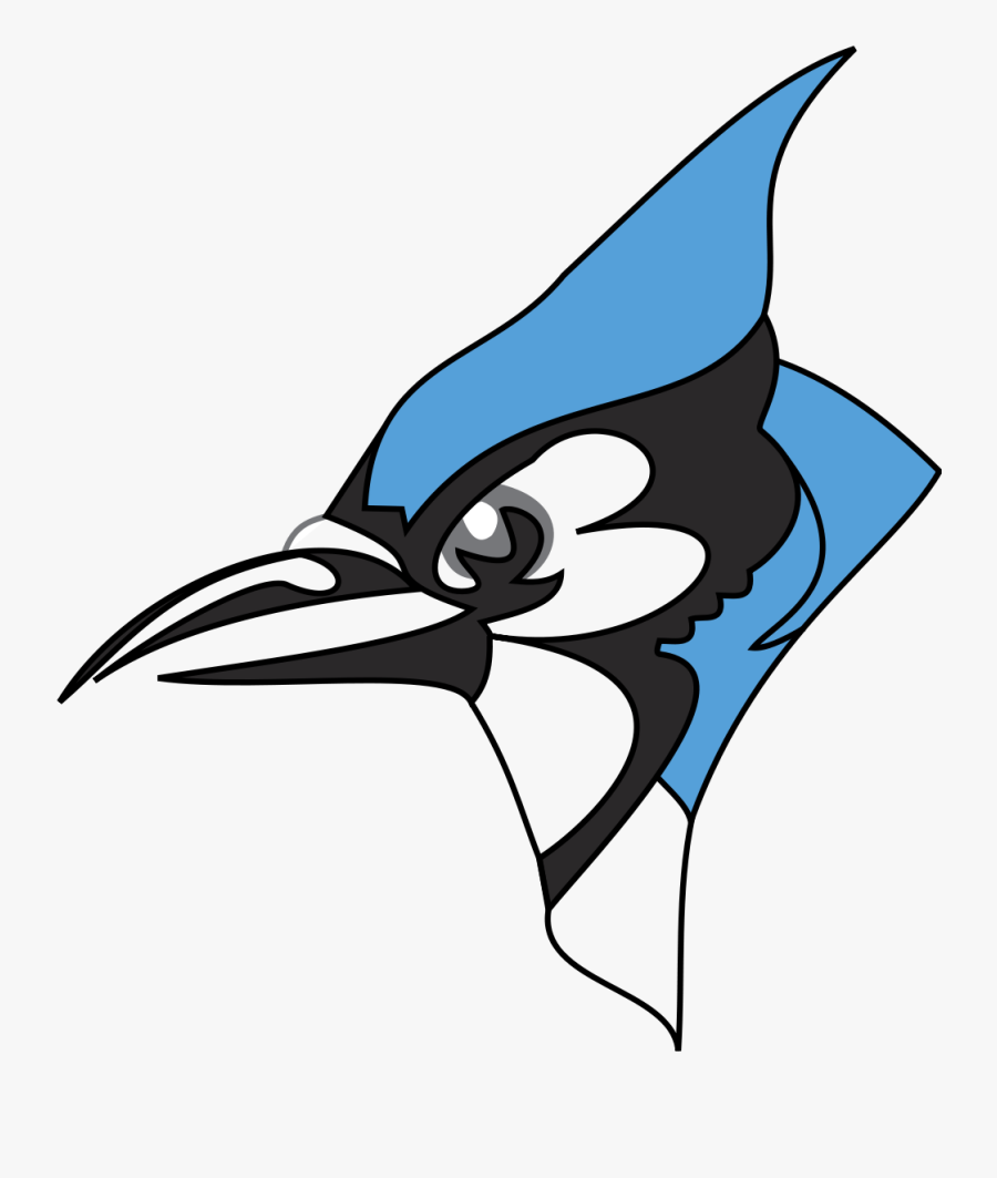 Transparent Blue Jay Png - Middlesex High School Bluejays, Transparent Clipart