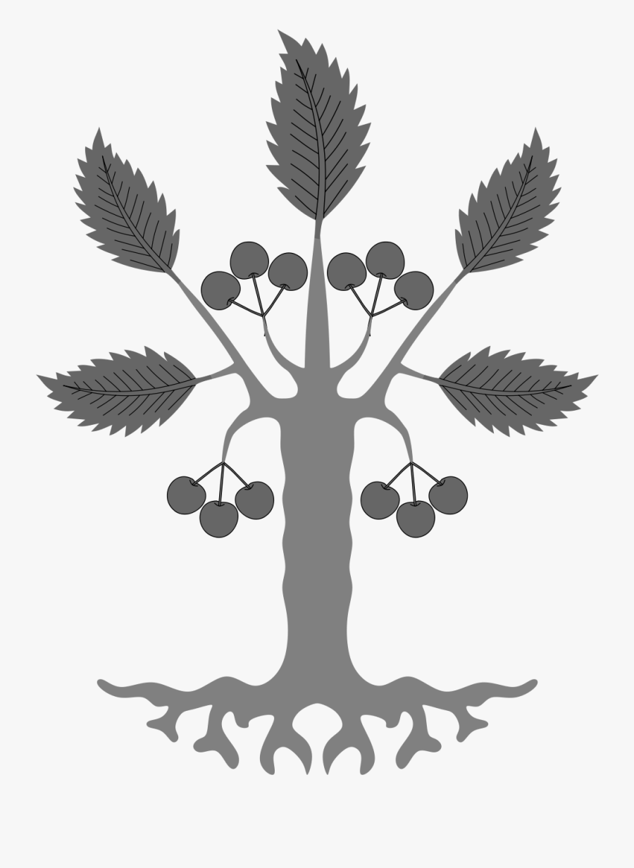 Transparent Birch Tree Clipart - Coat Of Arms Birch Tree, Transparent Clipart