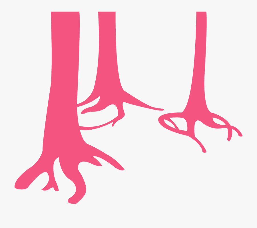 Silueta De Tronco De Arbol, Transparent Clipart