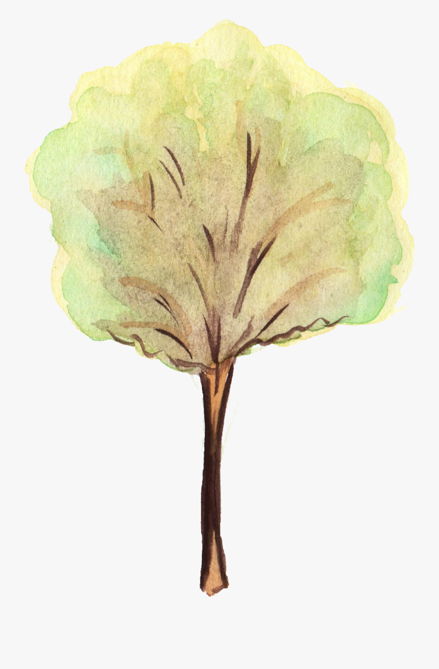 Png Water Color Tree, Transparent Clipart