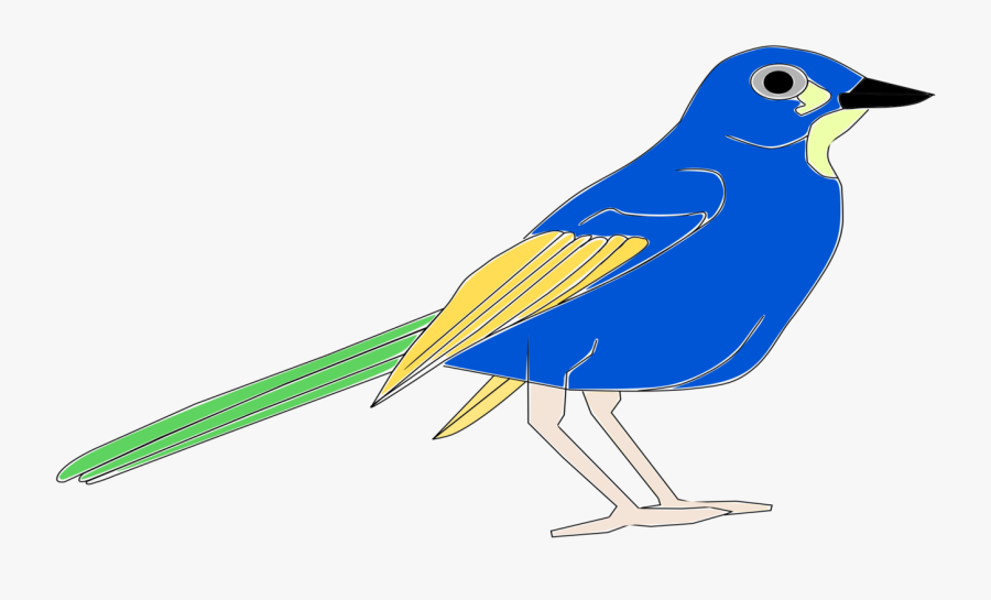 Perching Bird,art,jay - Pájaro Free Clipart, Transparent Clipart
