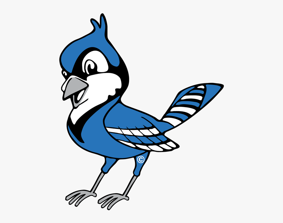 Transparent Blue Jay Clipart, Transparent Clipart