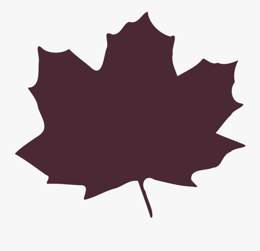 Birch - Leaf - Clipart - Leaf Purple Cartoon - Large Fall Leaves Clipart, Transparent Clipart