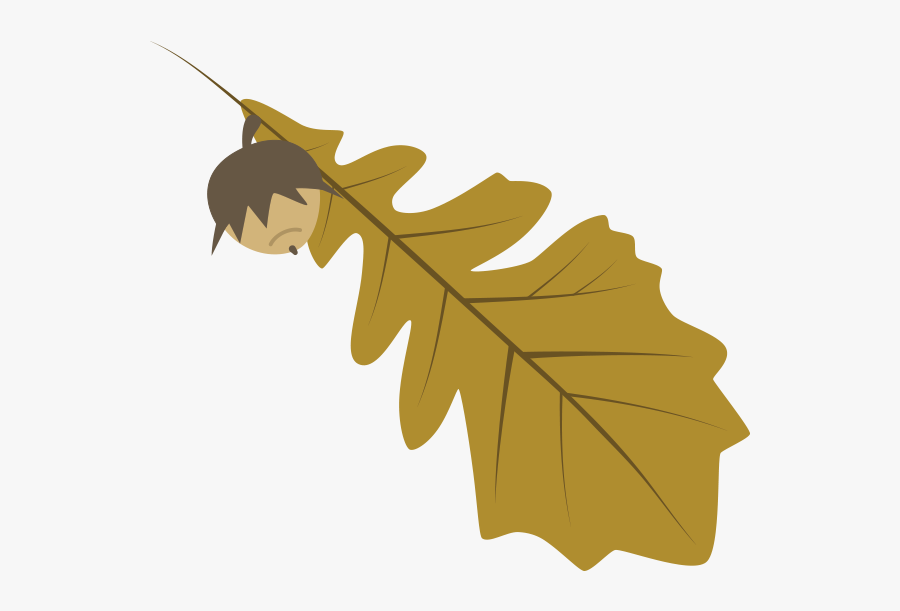 Illustration, Transparent Clipart