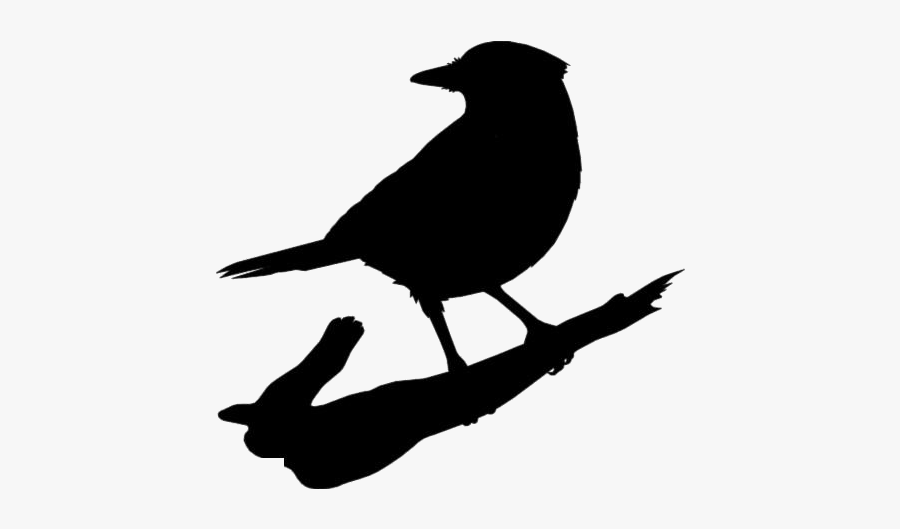 Blue Jay Png Logo - Fish Crow, Transparent Clipart