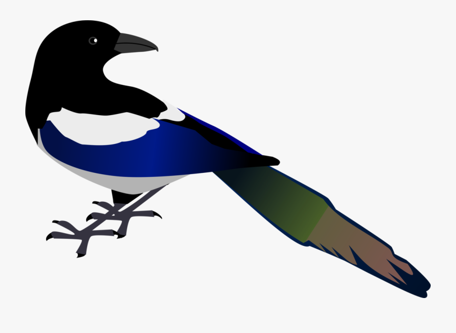 Crow Clipart Urraca - Magpie Clipart, Transparent Clipart