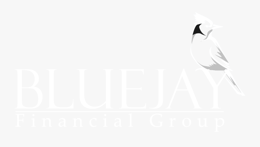 Blue Jay Financial Group - Gull, Transparent Clipart