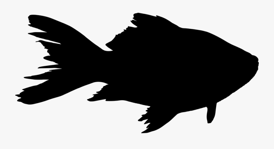 Fish Silhouette Png - Silueta Peces, Transparent Clipart