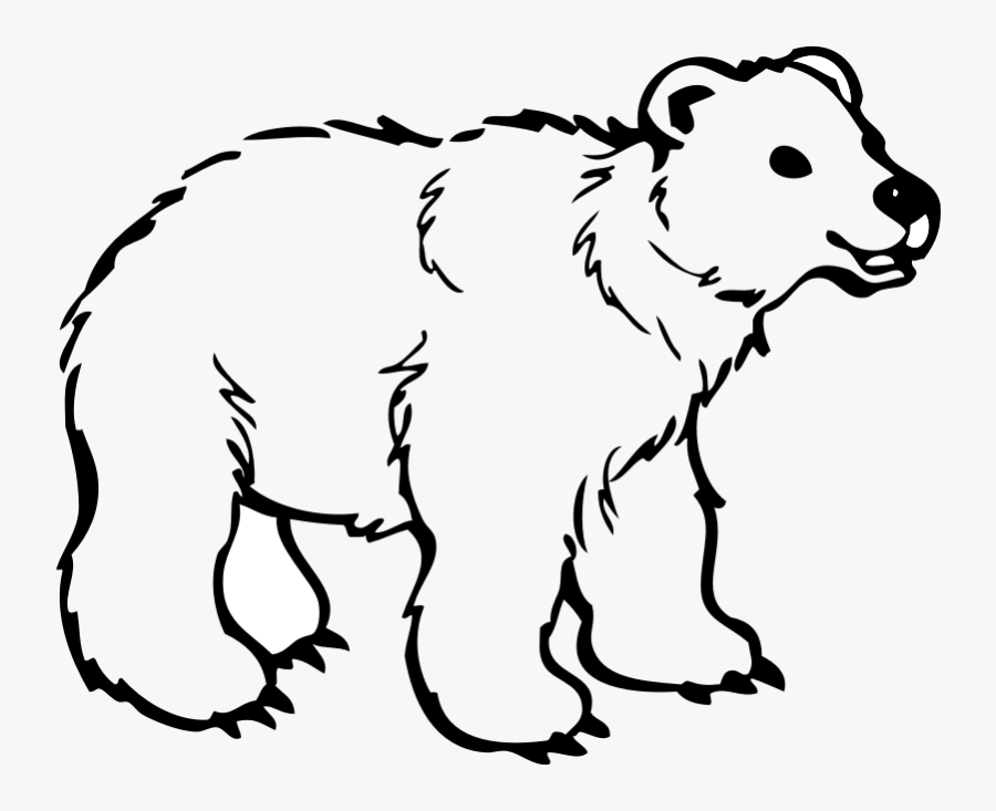Polar Bear American Black Bear Brown Bear Drawing - Outline Of Wild Animals, Transparent Clipart