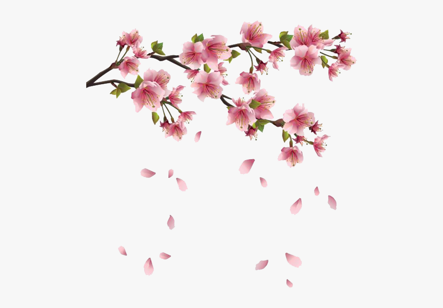 Spring Free Png Image - Cherry Blossom Transparent, Transparent Clipart