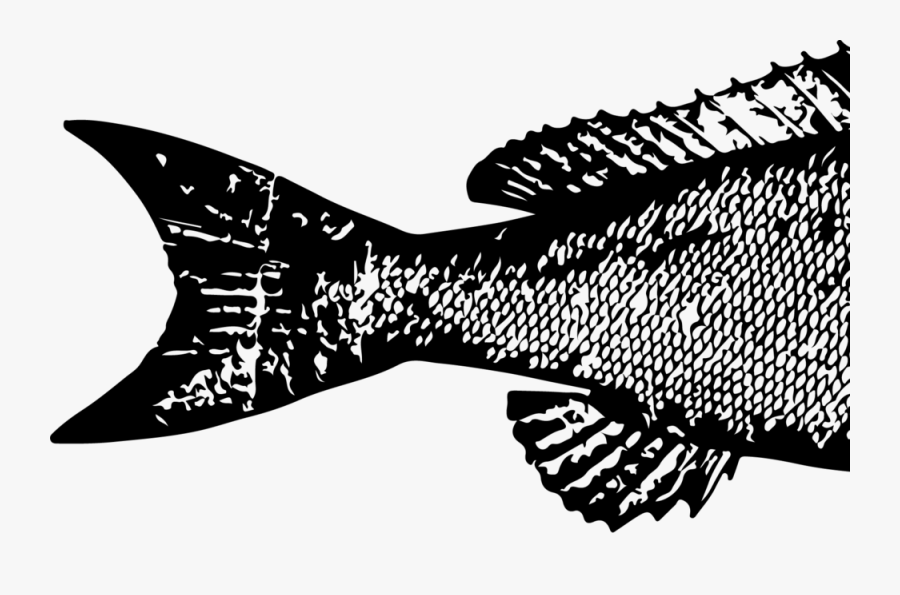 Fbl Web Logo-01 - Illustration, Transparent Clipart