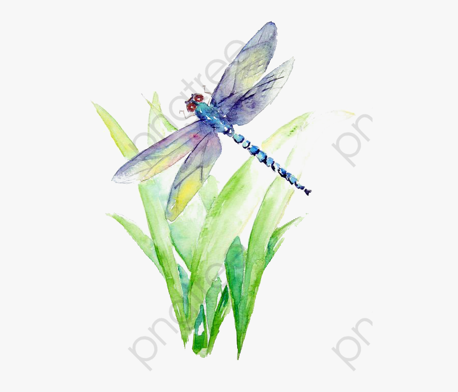 Watercolor Commercial Use Resource - Watercolor Dragonfly Png, Transparent Clipart