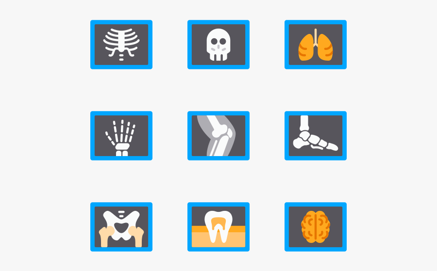 X Ray, Transparent Clipart