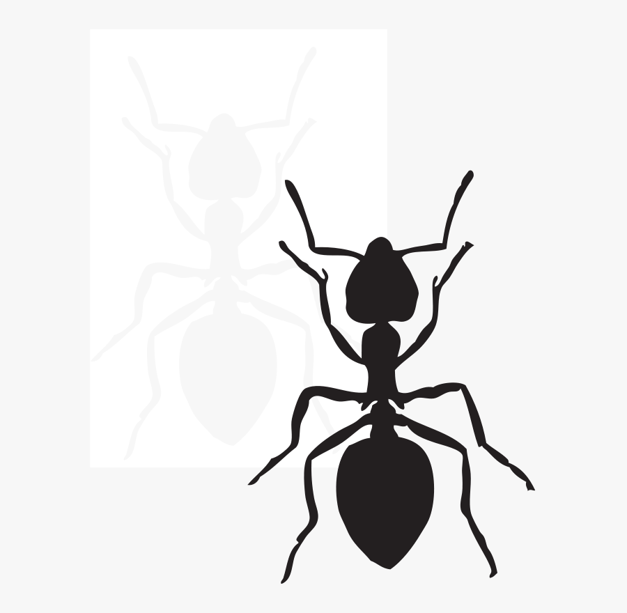 Ant Clip Art, Transparent Clipart