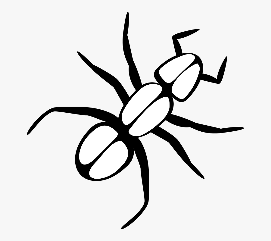 Ant Black And White Ant Free Illustrations On Pixabay Ant Outline Clip Art , Free Transparent