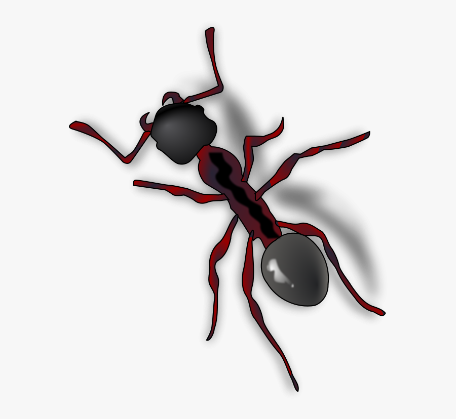 Ant - Ant Clip Art, Transparent Clipart