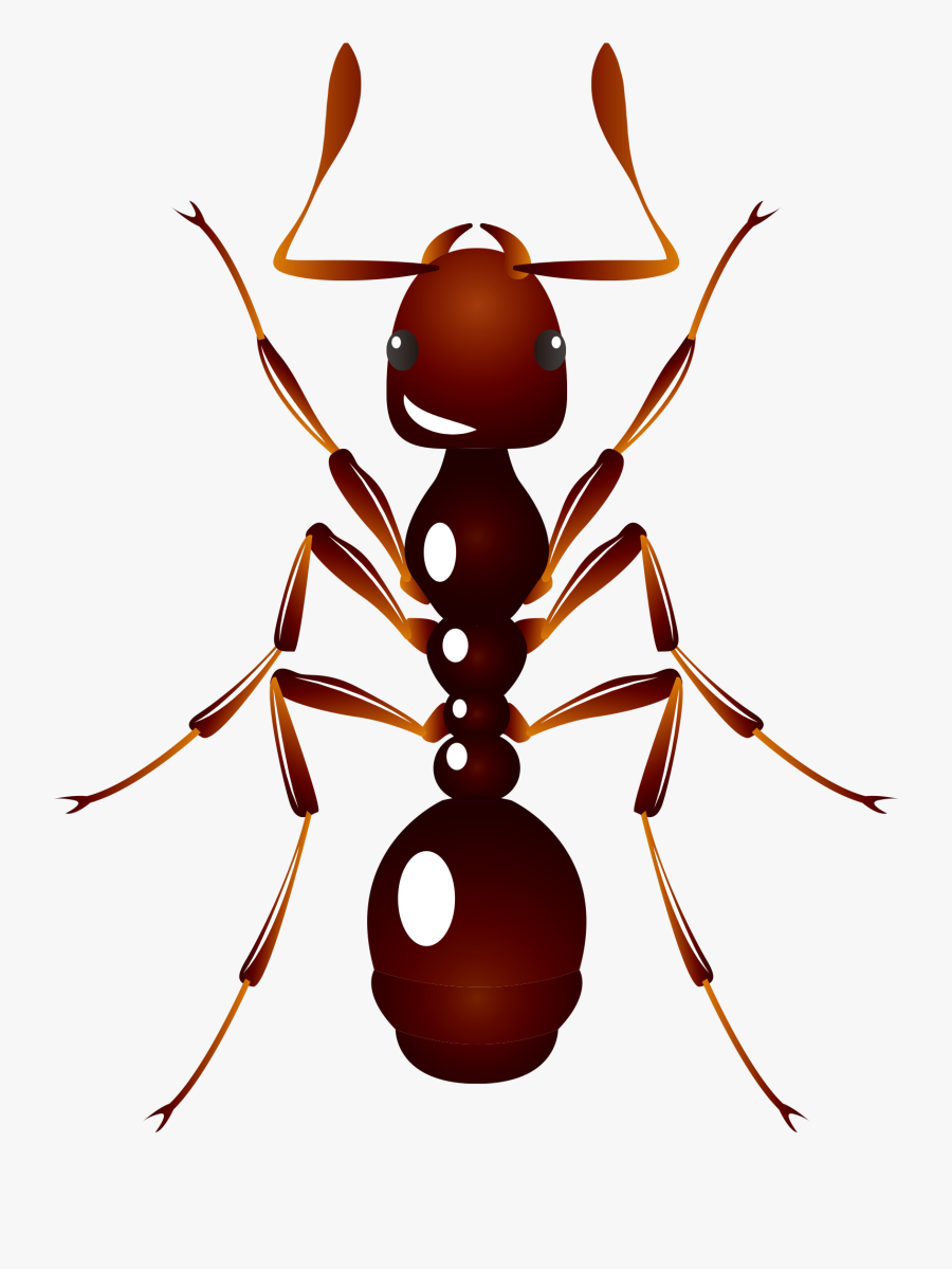 Ant U6606u866b U8682u8681 Insect - Hornet, Transparent Clipart
