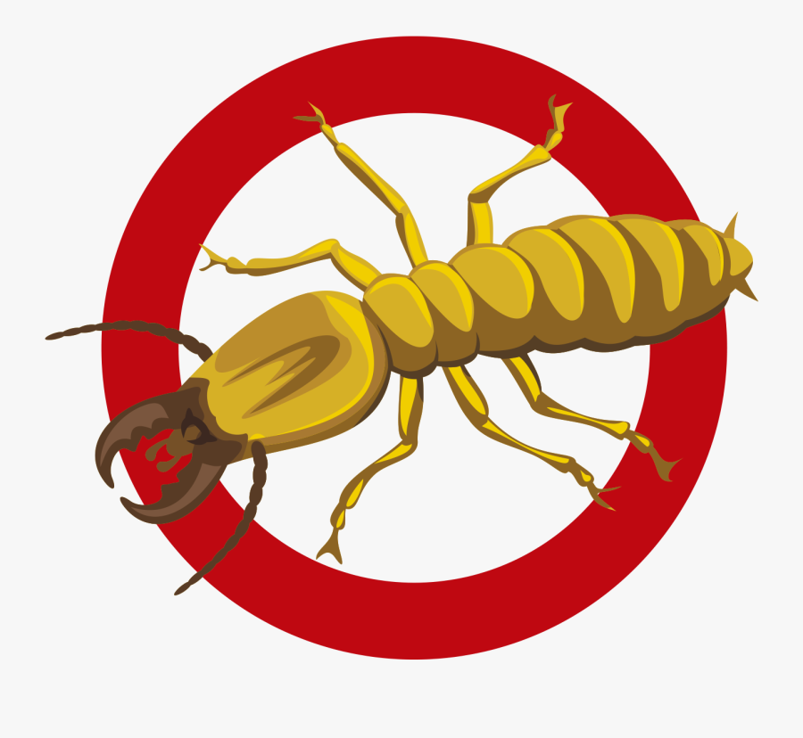 Pest Control Companies La - Termites Pest Control Logo, Transparent Clipart