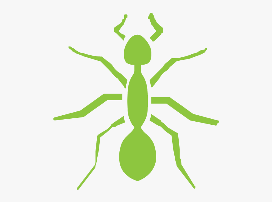 Transparent Roach Clipart - Ant Logo, Transparent Clipart