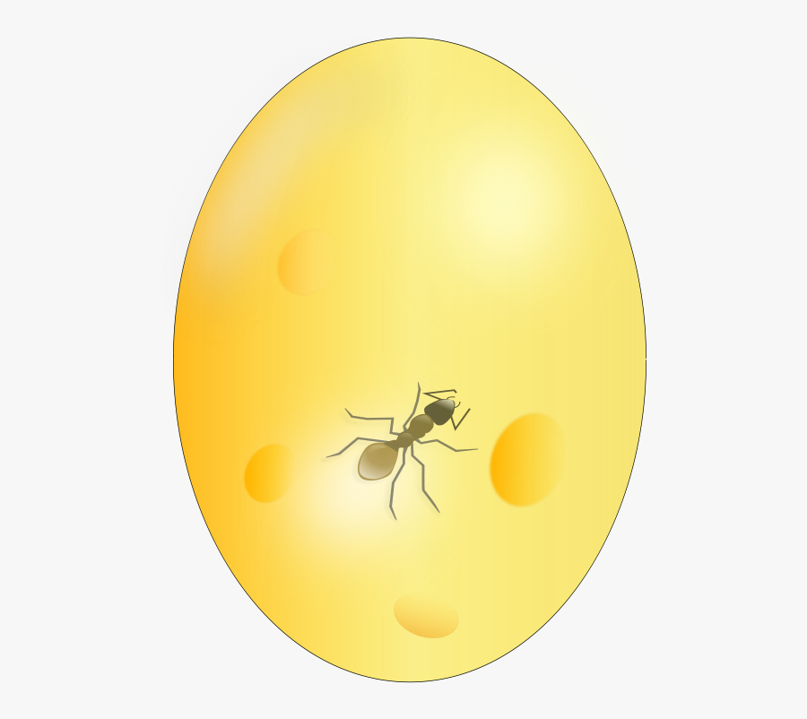 Ant In Amber - Circle, Transparent Clipart