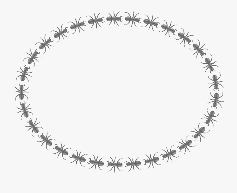 Ant Border Oval Clip Arts - Transparent Png Gif Circle, Transparent Clipart