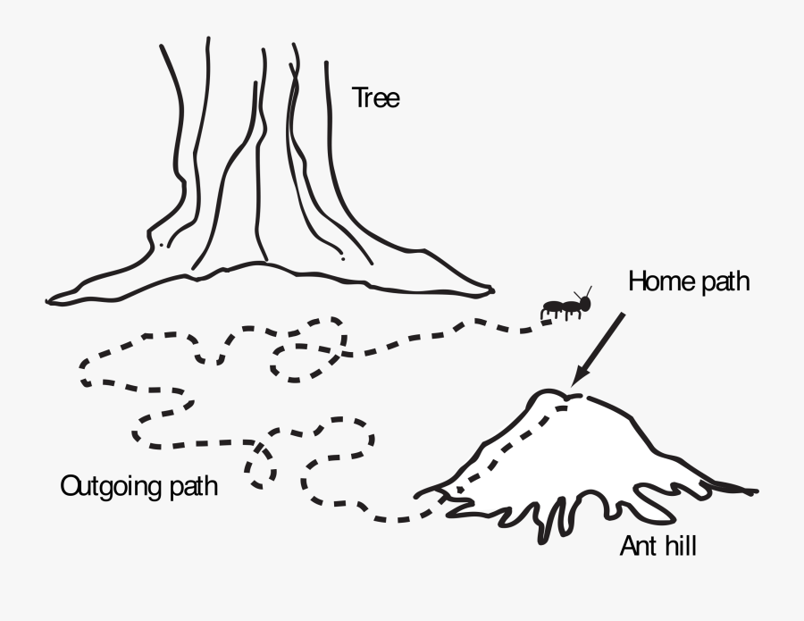 Navigation Map Medium Image - Ant Home Clipart Black And White, Transparent Clipart