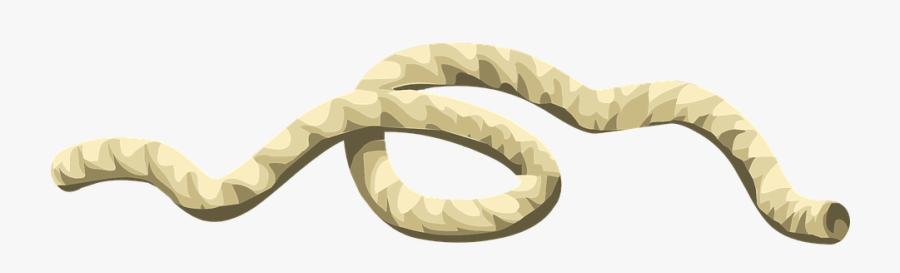String Rope Transparent, Transparent Clipart