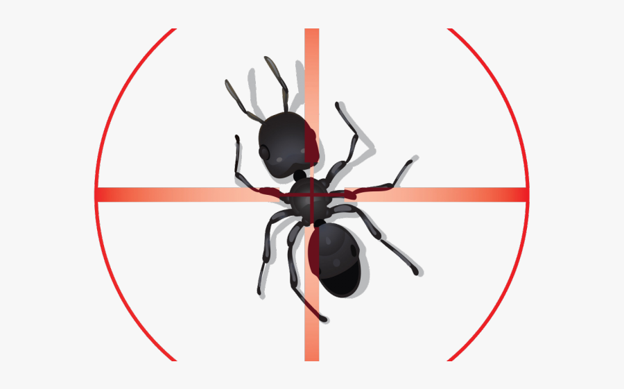 Background Pest Control, Transparent Clipart