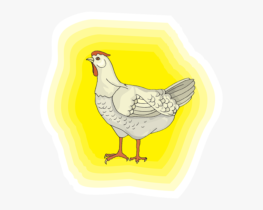 ภาพ พื้น หลัง ไก่ Png, Transparent Clipart