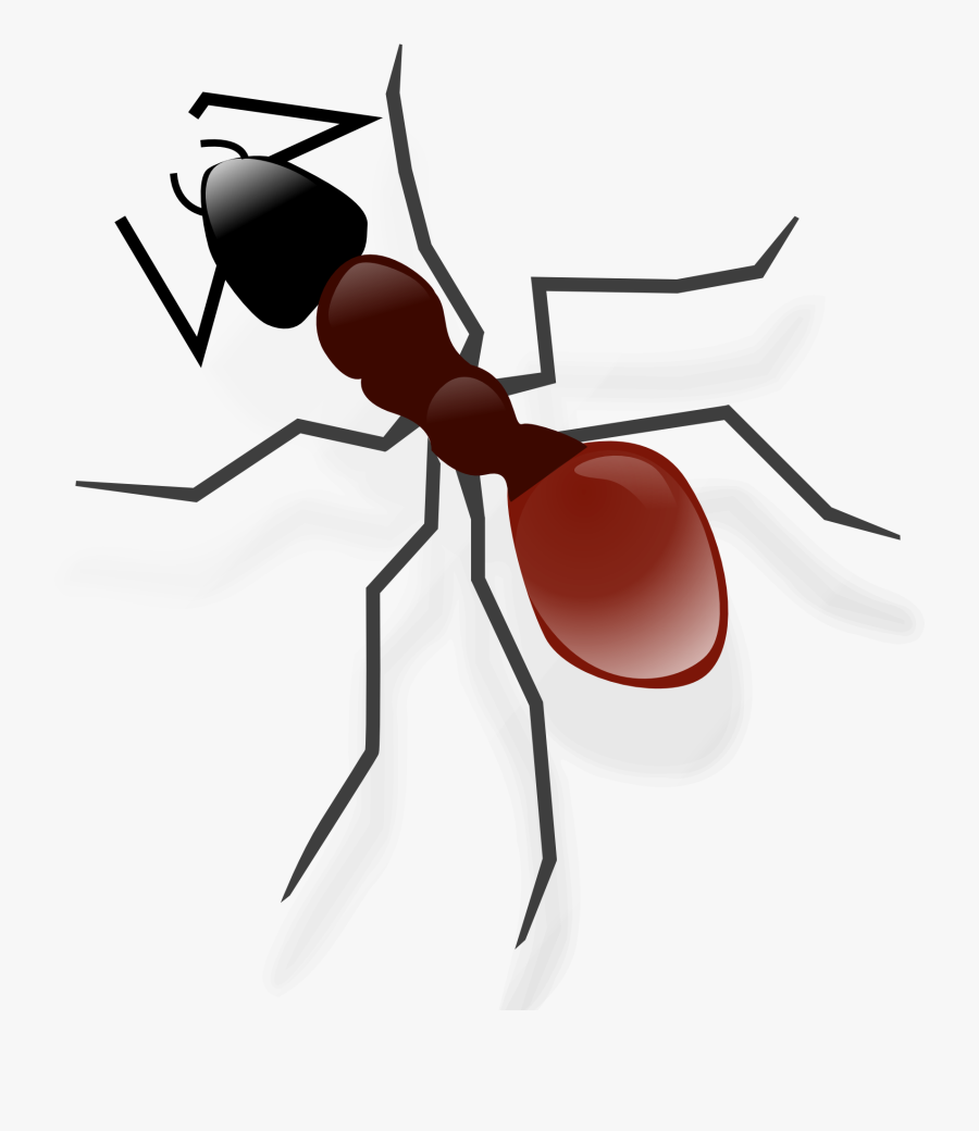 Vines Swirl Png Transparent Image - Desenho De Formiga, Transparent Clipart