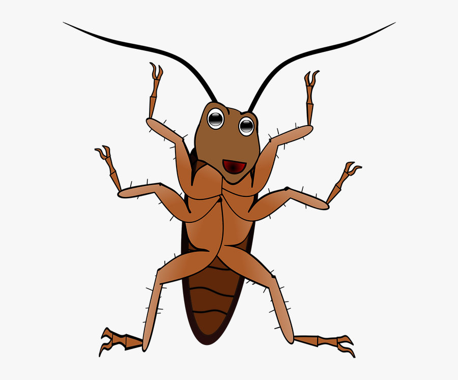Antenna Clipart Ant - Pragas Png, Transparent Clipart