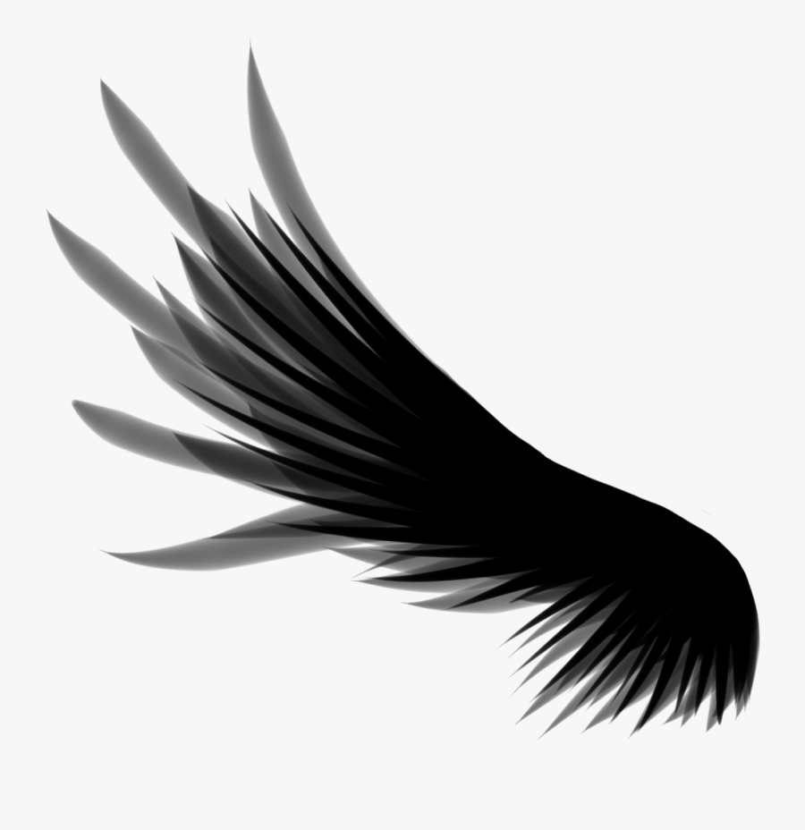 Wings, 1000x1000, 188,26kb - Wing Png, Transparent Clipart