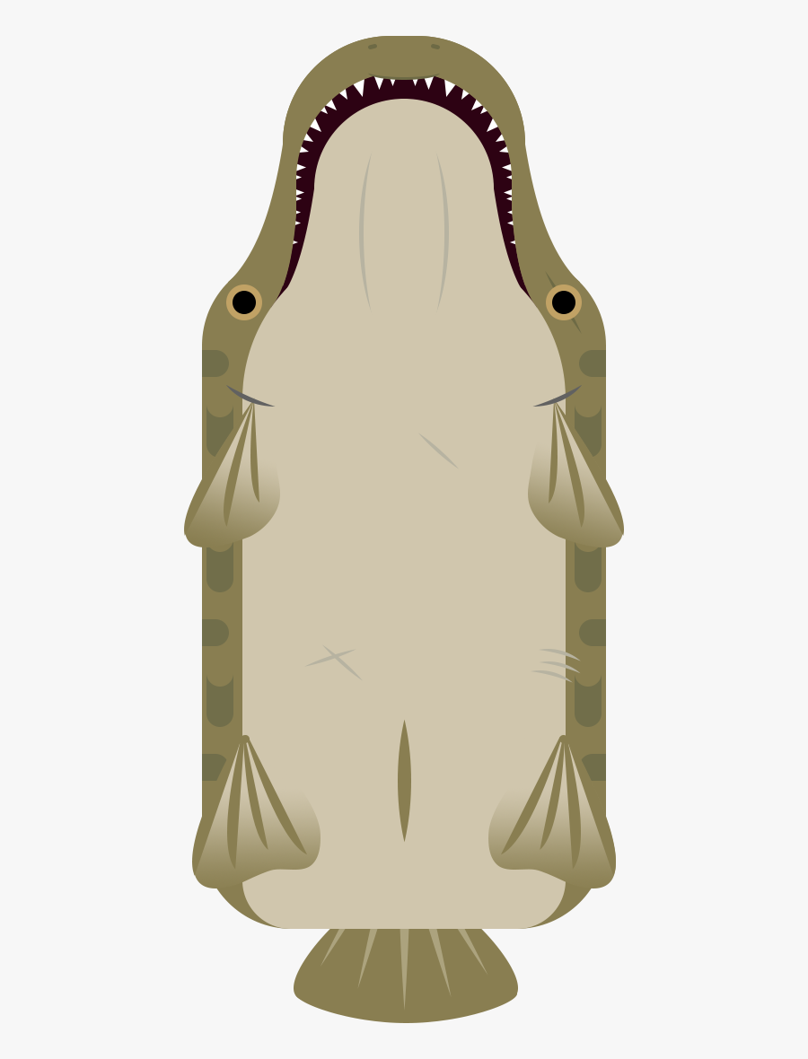 Deeeep Io Alligator Gar, Transparent Clipart