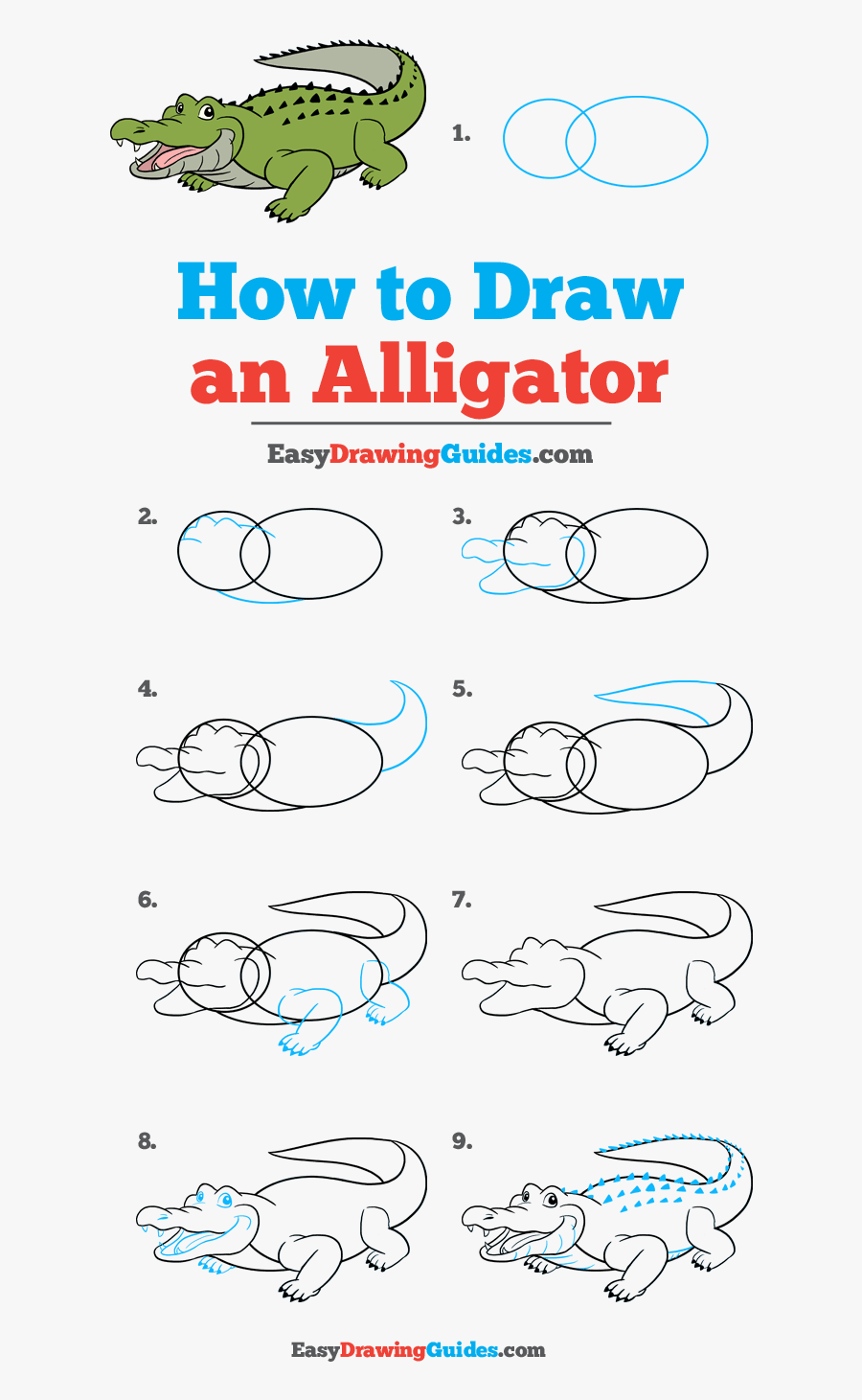 How To Draw An Alligator - Drawing, Transparent Clipart