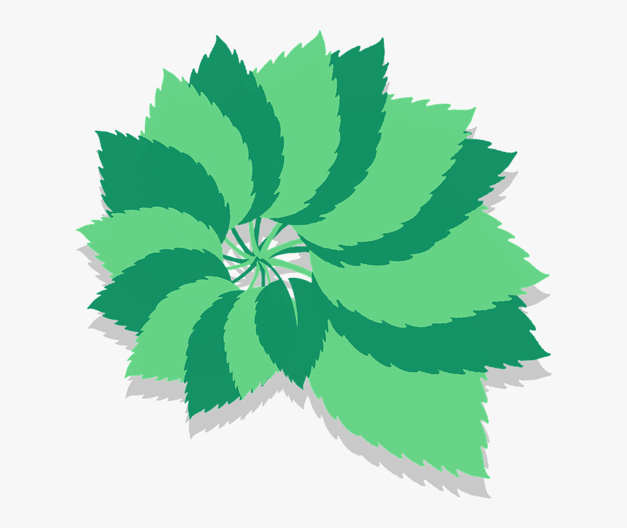 Tree Leaves Pattern Vector Clipart Sticker Green - Illustration, Transparent Clipart