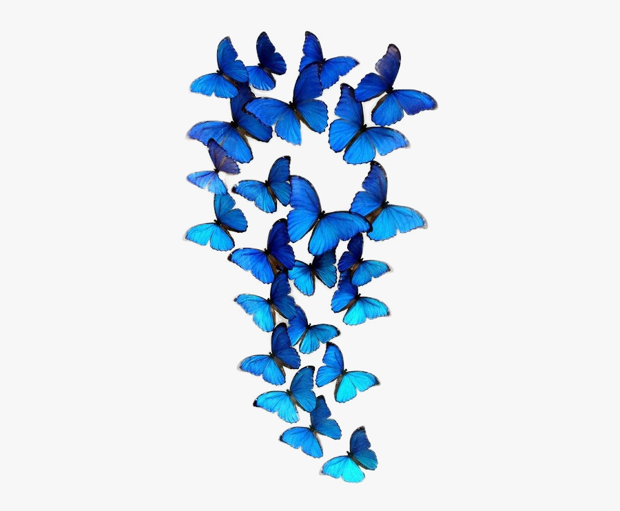 Butterfly Group Clipart Pattern Image And Transparent - Group Of Blue Butterflies, Transparent Clipart