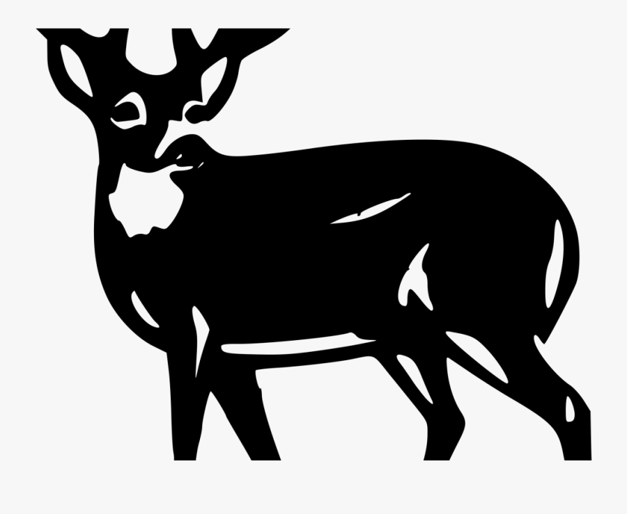 White Tailed Deer Silhouette, Transparent Clipart