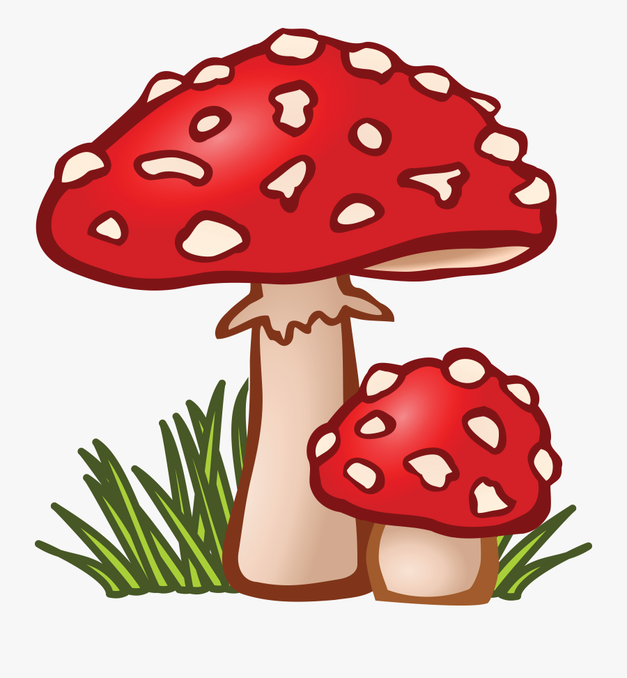 Clip Art Collection Of Free Drawing - Mushroom Clipart, Transparent Clipart
