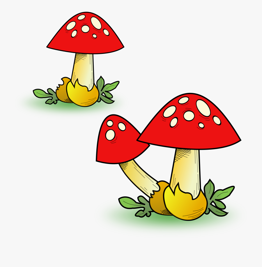Transparent Mushrooms Clipart - Mushroom Clipart, Transparent Clipart
