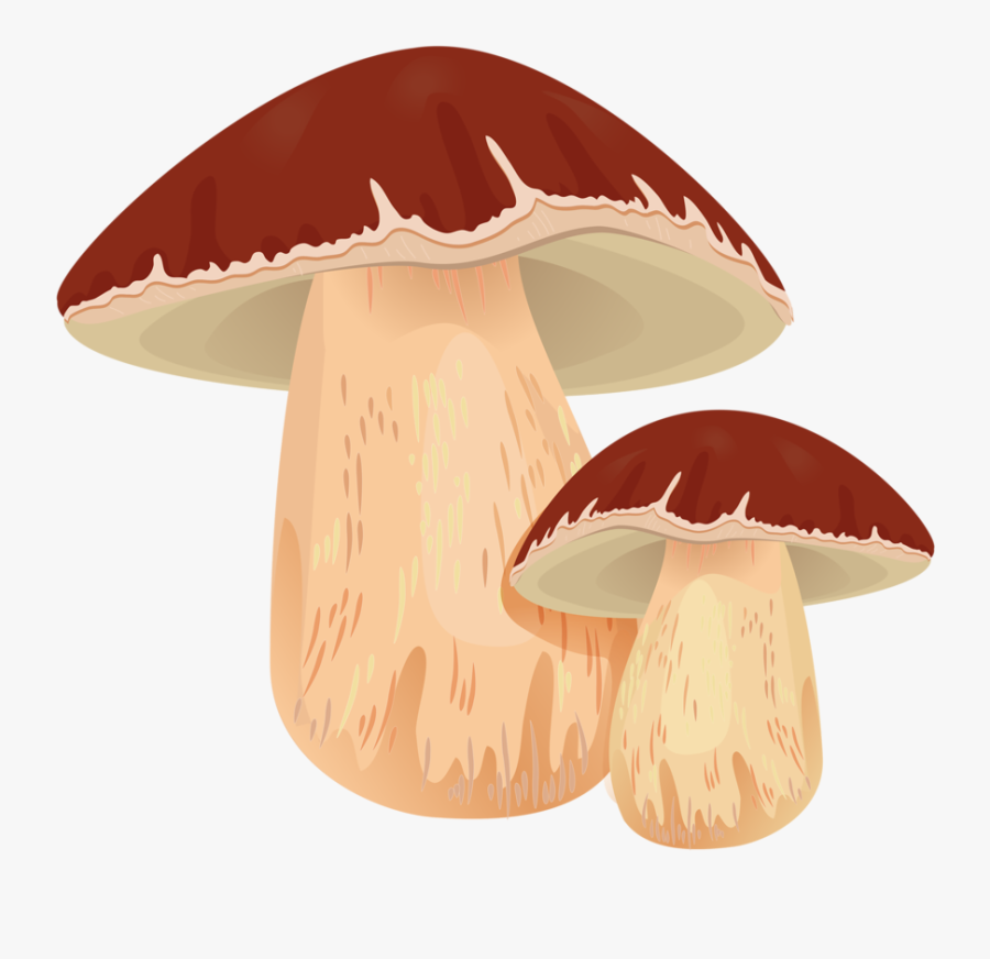Mushrooms Clipart Champignon Mushroom - Pilze Aufkleber, Transparent Clipart