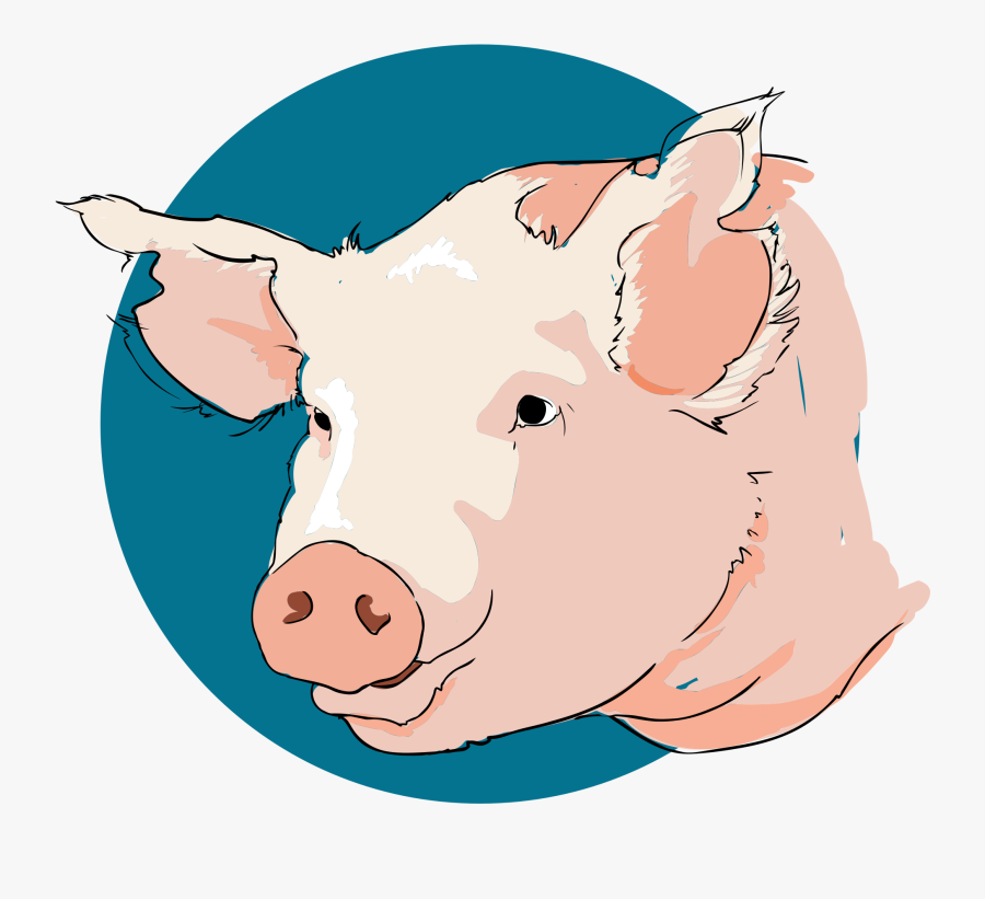 Public Domain Clipart Pig - Tete De Porc Dessin, Transparent Clipart
